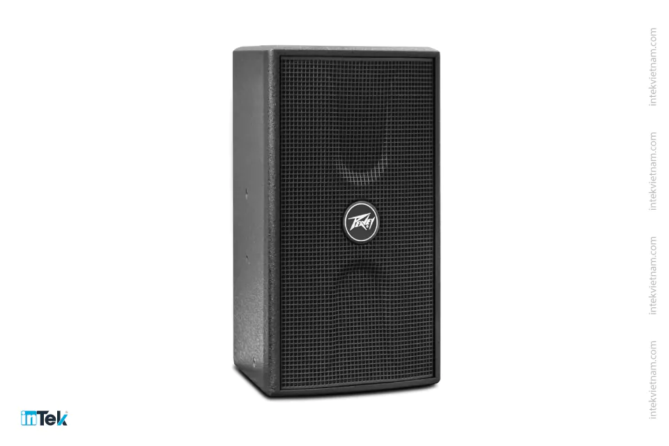 loa-peavey-jazz-10-3083